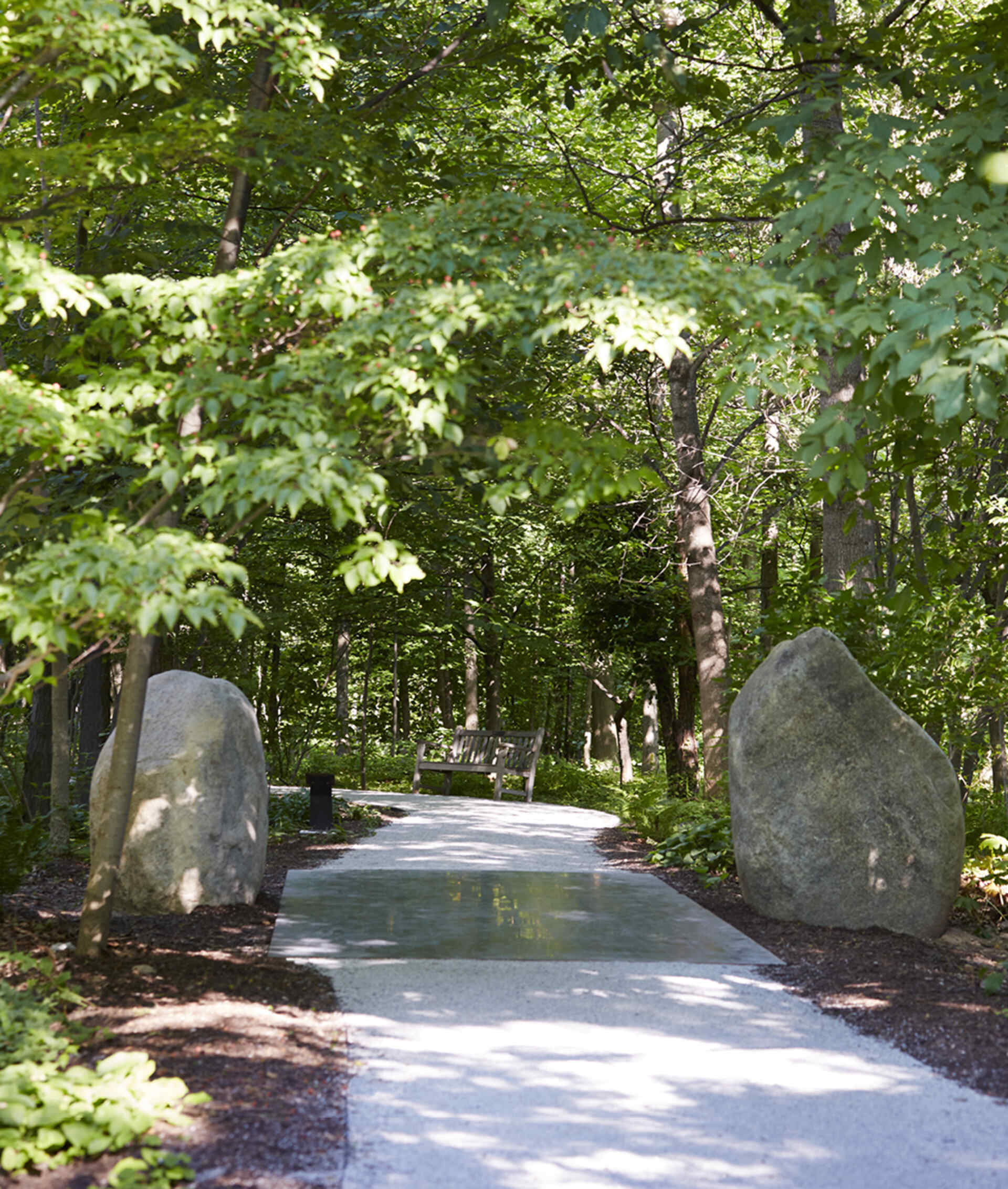 Michael Lau Gardener Gala PARCO 2体 未開封 Relatum – Forest Path » Meijer Gardens | Frederik Meijer Gardens