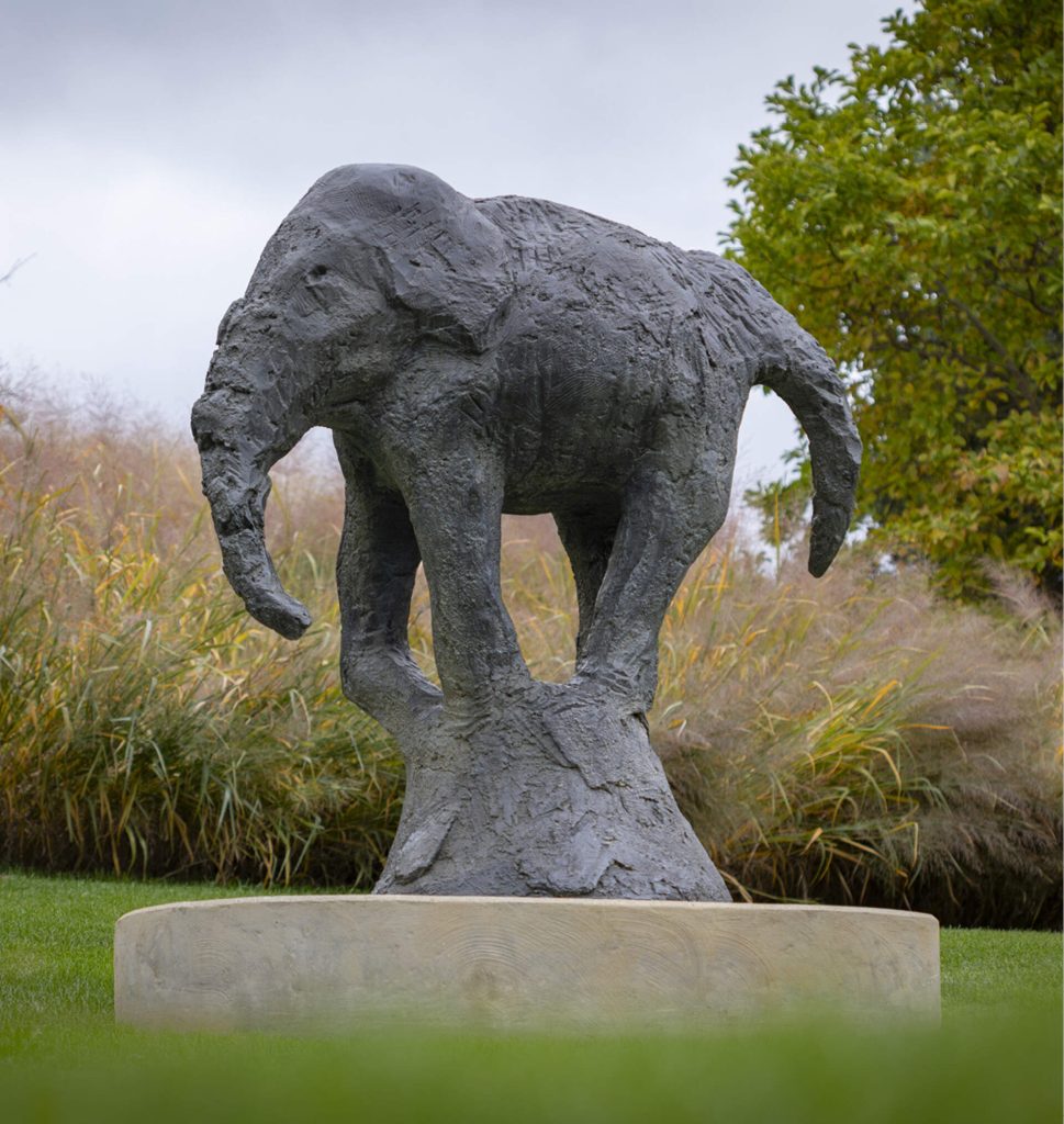 Elephant » Meijer Gardens | Frederik Meijer Gardens & Sculpture Park
