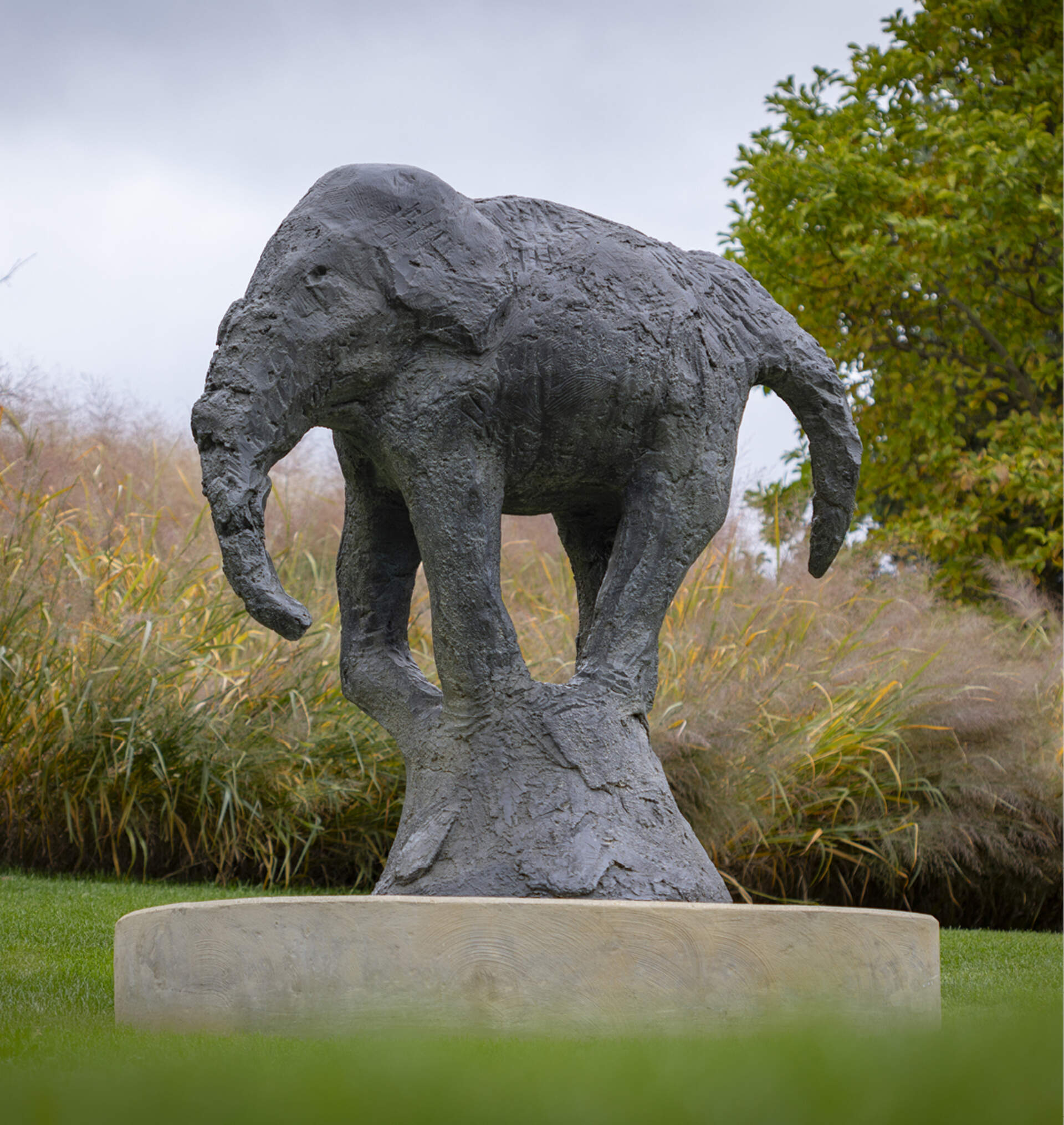 Elephant » Meijer Gardens | Frederik Meijer Gardens & Sculpture Park