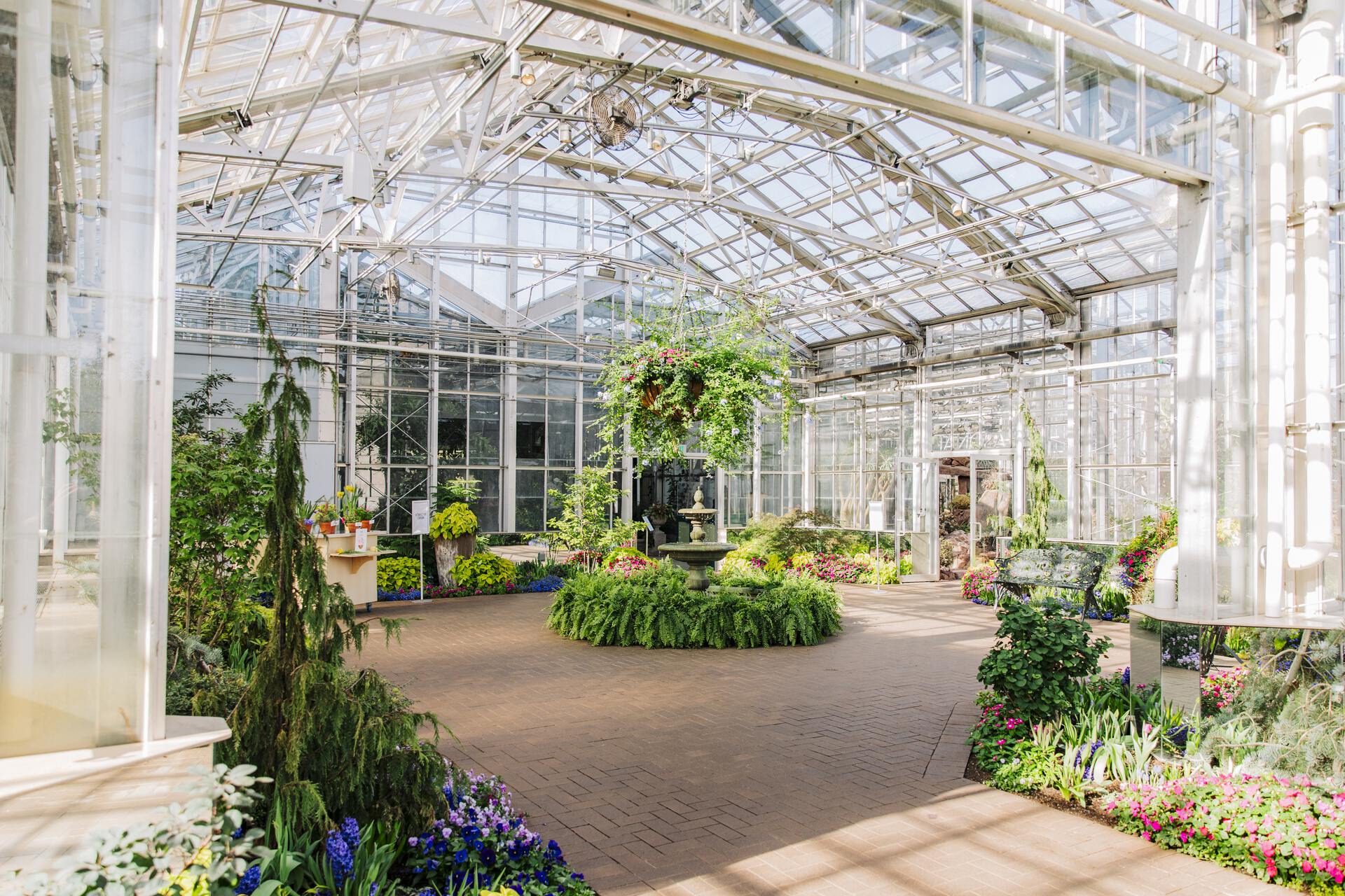 Seasonal Greenhouse » Meijer Gardens | Frederik Meijer Gardens