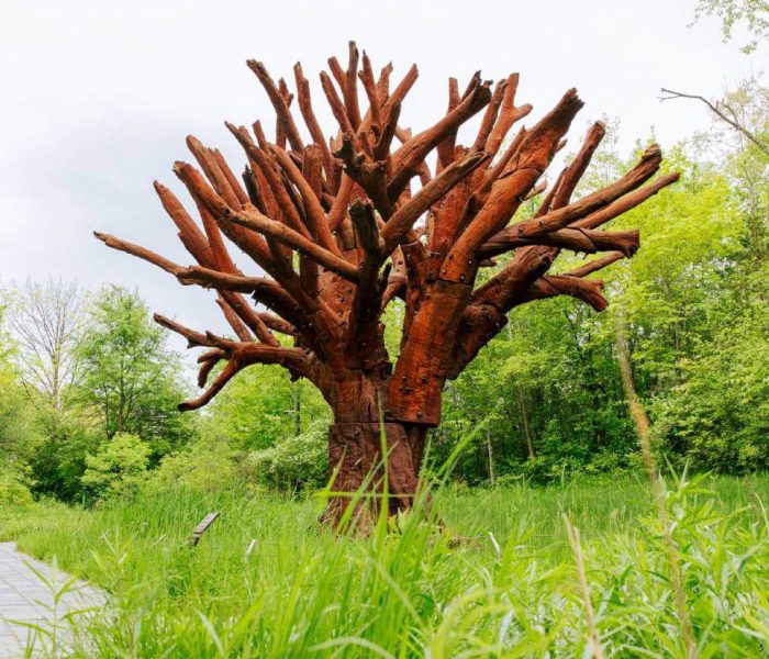Fact Sheet » Meijer Gardens | Frederik Meijer Gardens & Sculpture Park