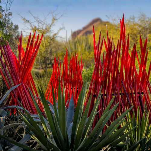 Welcome To Meijer Gardens » Meijer Gardens | Frederik Meijer