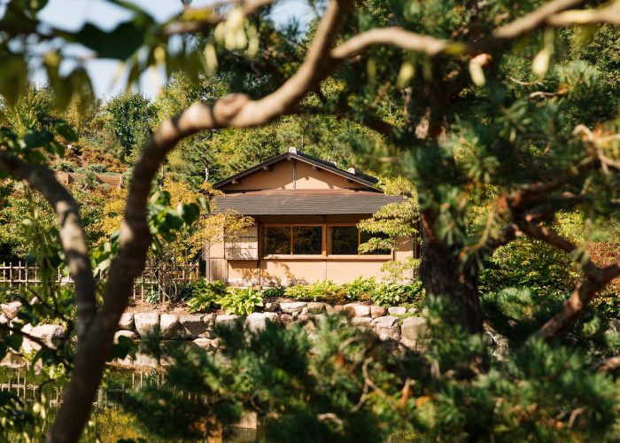 Japanese Garden » Meijer Gardens | Frederik Meijer Gardens